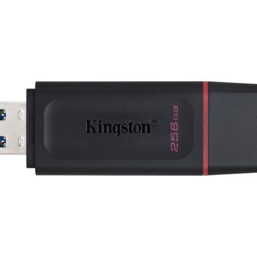 KINGSTON 256Go USB3.2 Gen1 DataTraveler Exodia Black + Pink