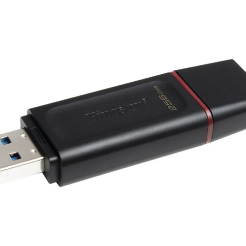KINGSTON 256Go USB3.2 Gen1 DataTraveler Exodia Black + Pink