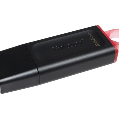 KINGSTON 256Go USB3.2 Gen1 DataTraveler Exodia Black + Pink