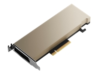 LENOVO ISG ThinkSystem NVIDIA A2 16Go PCIe Gen4 Passive GPU