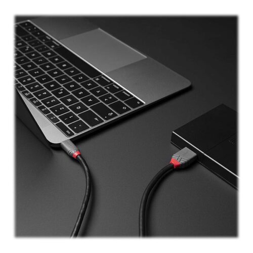 LINDY 0.5m USB 3.2 Type C to Micro-B Cable Anthra Line