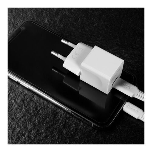 LINDY 20W Type C PD Charger EU Plug