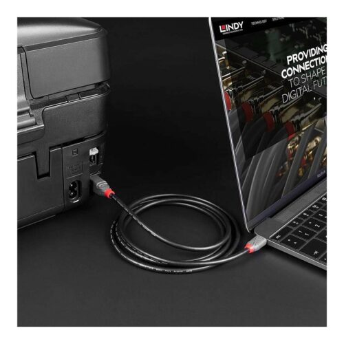 LINDY 2m USB 2.0 Type C to B Cable Anthra Line