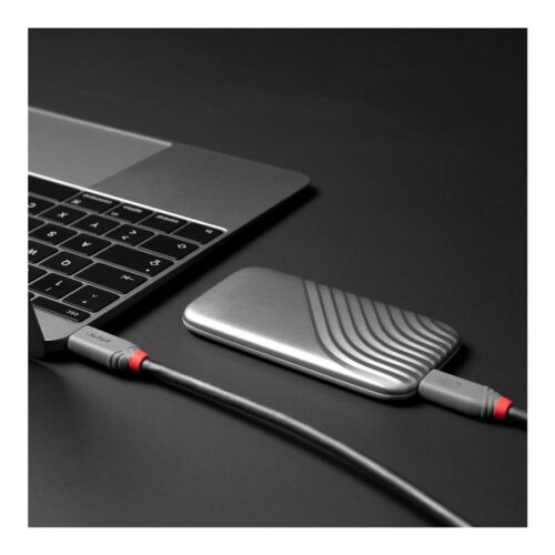 LINDY 2m USB 4 240W Type C Cable Anthra Line