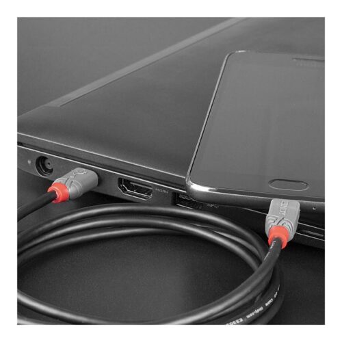 LINDY 3m USB 2.0 Type C to Micro-B Cable Anthra Line