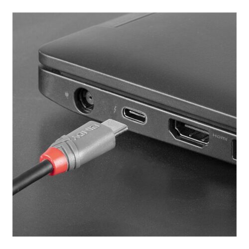 LINDY 3m USB 2.0 Type C to Micro-B Cable Anthra Line