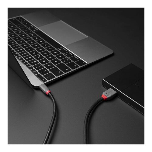 LINDY 3m USB 3.2 Type C to Micro-B Cable Anthra Line