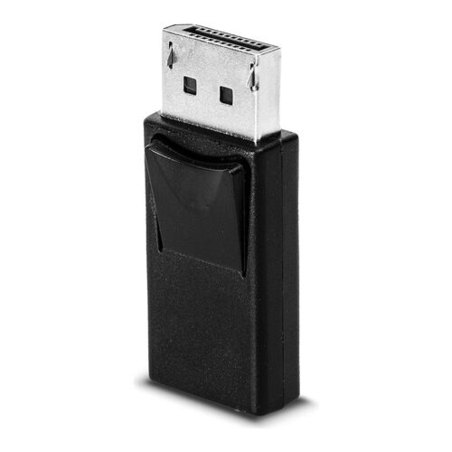 LINDY Adaptateur DisplayPort vers mini DisplayPort