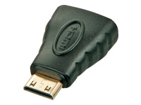 LINDY Adaptateur mini-HDMI vers HDMI C mâle A femelle