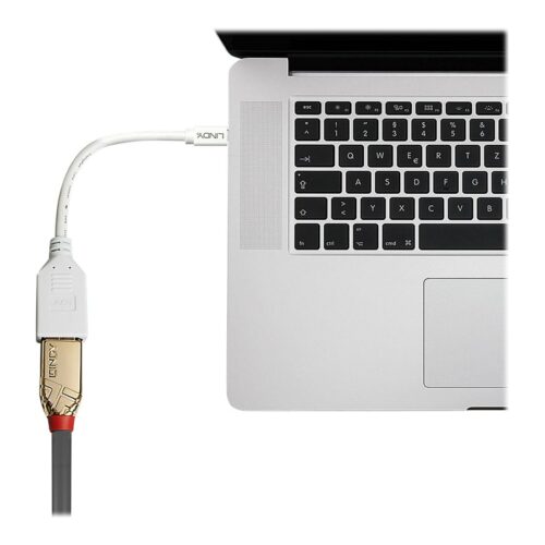 LINDY Câble adaptateur Mini DP M vers DP F Premium blindé