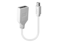 LINDY Câble adaptateur Mini DP M vers DP F Premium blindé