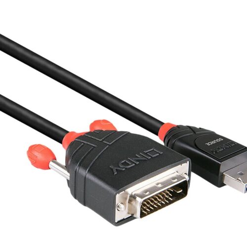 LINDY Câble DisplayPort vers DVI 2m