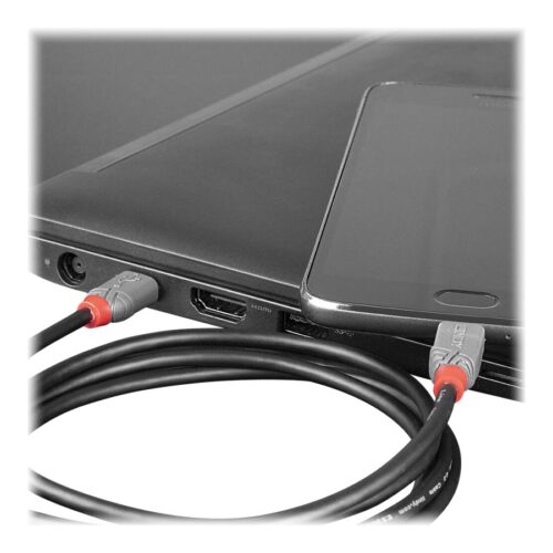 LINDY Câble USB 2.0 Type C vers Micro-B Anthra Line 0.5m