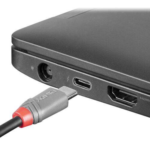 LINDY Câble USB 2.0 Type C vers Micro-B Anthra Line 0.5m
