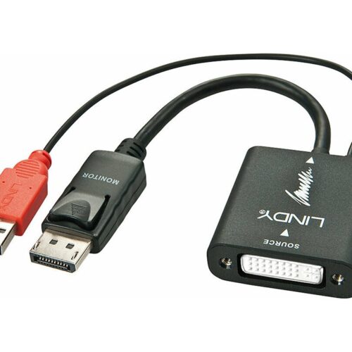 LINDY Convertisseur DVI-D vers DisplayPort UNIDIRECTIONNEL