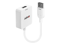 LINDY Convertisseur HDMI vers DisplayPort 4K
