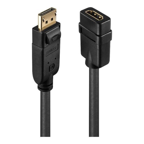 LINDY Convertisseur Passif DisplayPort vers HDMI