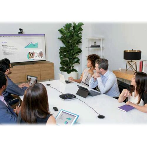 LOGITECH GROUP Expansion Microphones Only Microphone set
