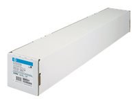 HP BOND  papier blanc inkjet 80g/m2 610mm x 45.7m 1 rouleau pack de 1