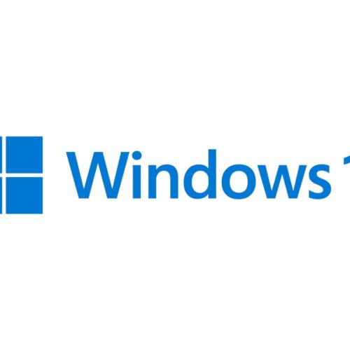 MS 1x Windows 11 Pro 64-Bit DVD OEM English International (EN)