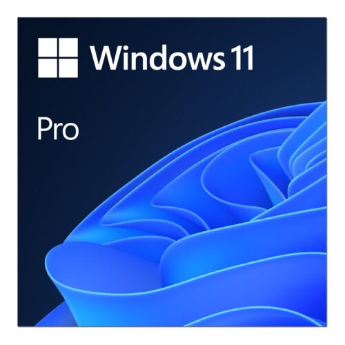 MS ESD Windows Professional 11 64-bit All Languages Online Product Key License 1 License Downloadable ESD NR