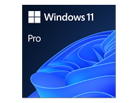 MS ESD Windows Professional 11 64-bit All Languages Online Product Key License 1 License Downloadable ESD NR