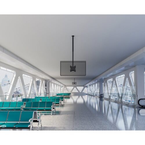 NEOMOUNTS CL35-340BL22 Support de plafond pour double écran 23-42p – h 106-156 cm