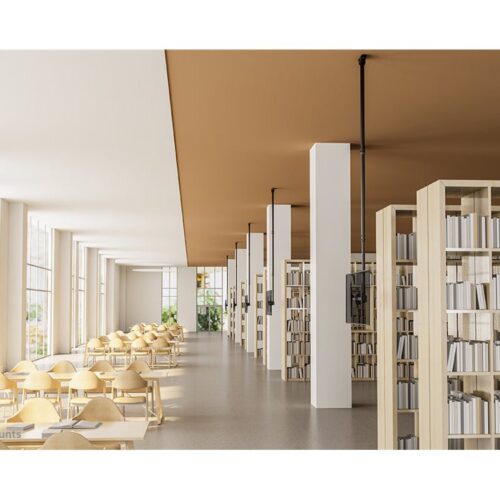 NEOMOUNTS CL35-440BL16XL Support de plafond pour écran de 37-70p – h 250-300 cm