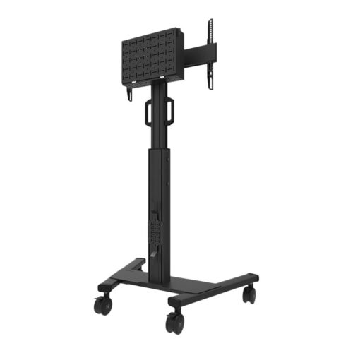 NEOMOUNTS FL50S-825BL1 Support au sol mobile pour écran 37-75p – TÜV