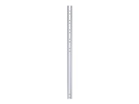 NEOMOUNTS FPMA-CP100 Tube dextension pour support décran au plafond – h 100 cm