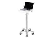 NEOMOUNTS MED-M050 Station de travail mobile médicale 10-18p – ressort à gaz