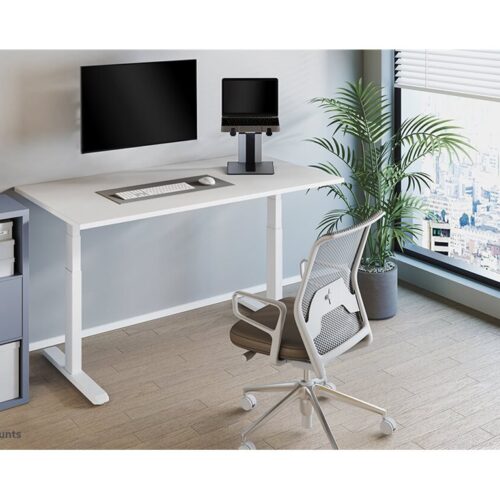 NEOMOUNTS NSLS200 Support pour ordinateur portable 10-17p – ajustement en hauteur – pliable – compact – universel