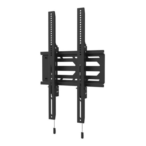 NEOMOUNTS WL30S-950BL19 Support mural fixe pour écran 55-110p – robuste – verrouillable – paysage et portrait