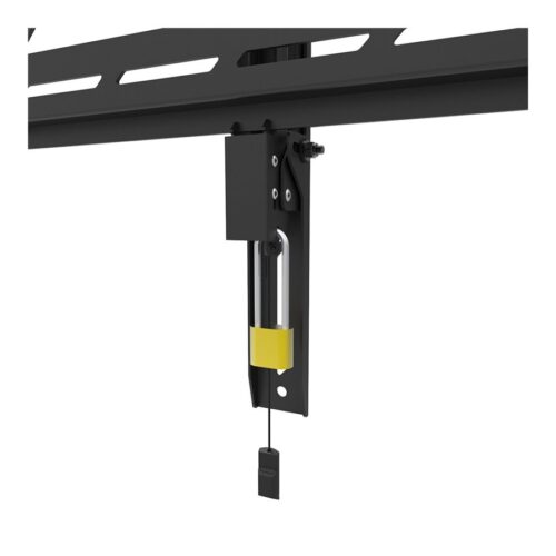 NEOMOUNTS WL30S-950BL19 Support mural fixe pour écran 55-110p – robuste – verrouillable – paysage et portrait
