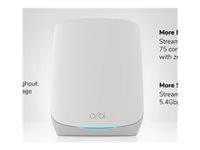 NETGEAR 2PT ORBI RBS760