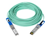 NETGEAR Câble DAC SFP+ Optique de 20m AXC7620