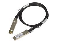 NETGEAR Cable de stack local SFP Direct attach 1M