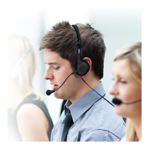 PORT DESIGNS Stereo Headset With Mic