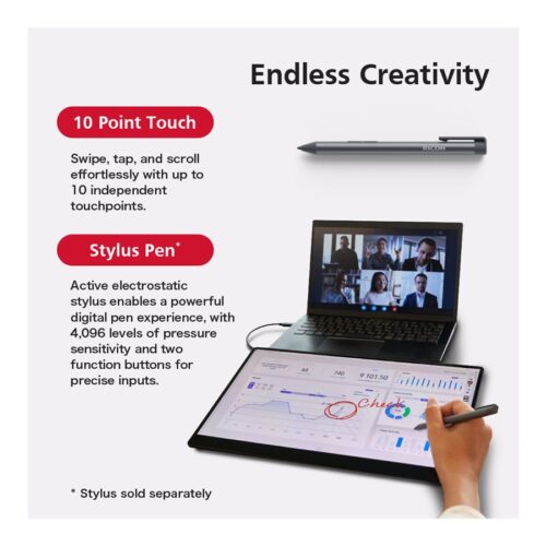 RICOH 15.6p 169 1920×1080 OLED 1ms 1000001 10-point Multi-Touch USB-C Powered Ultra-Lightweight Portable Monitor