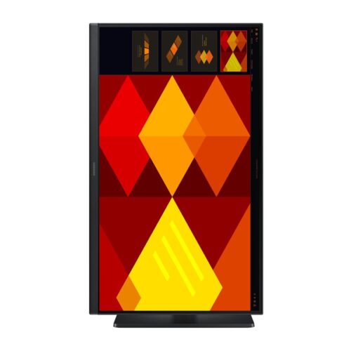 SAMSUNG LS22D400GAUXEN Ecran 22p FHD IPS 16:9 100Hz 250cd/m2 5ms 1000:1 2xHDMI DP 1.2 HAS
