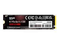 SILICON POWER M.2 2280 PCIe 250Go SSD UD90