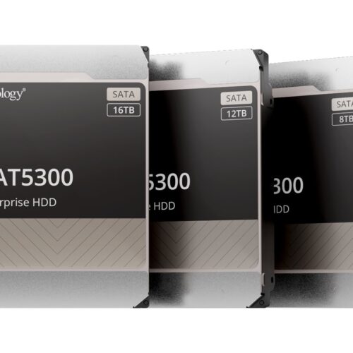 SYNOLOGY HAT5300 12To SATA HDD