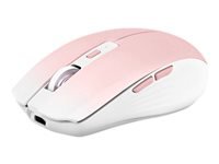 TNB GRADIENT – Dual connect rechargeable colorful wireless mouse – pink