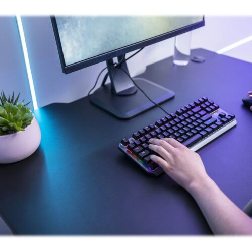TRUST Gaming Callaz TKL Mechanical Keyboard Black AZERTY (FR)