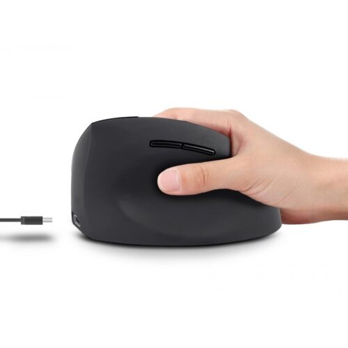 URBAN FACTORY Ergo Souris Sans Fil 2.4GHZ Droitier