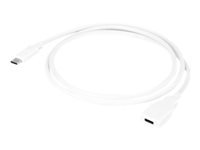 URBAN FACTORY TYPE-C CABLE EXTENSION 1M