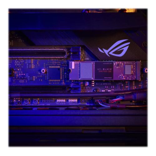 WD Black SSD SN750 SE Gaming NVMe 1To PCIe Gen4 compatible with PCIe Gen3 M.2 High-Performance NVMe SSD internal single-packed