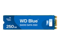 WD Blue SA510 SSD 1To M.2 2280 SATA III 6Gb/s internal single-packed